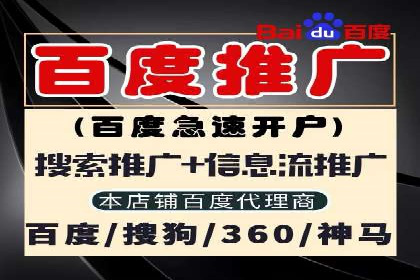 SEM投放案例：打造高转化率广告