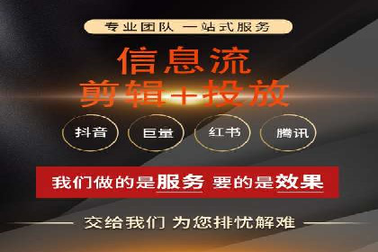 某电商平台的SEM广告投放策略及效果评估